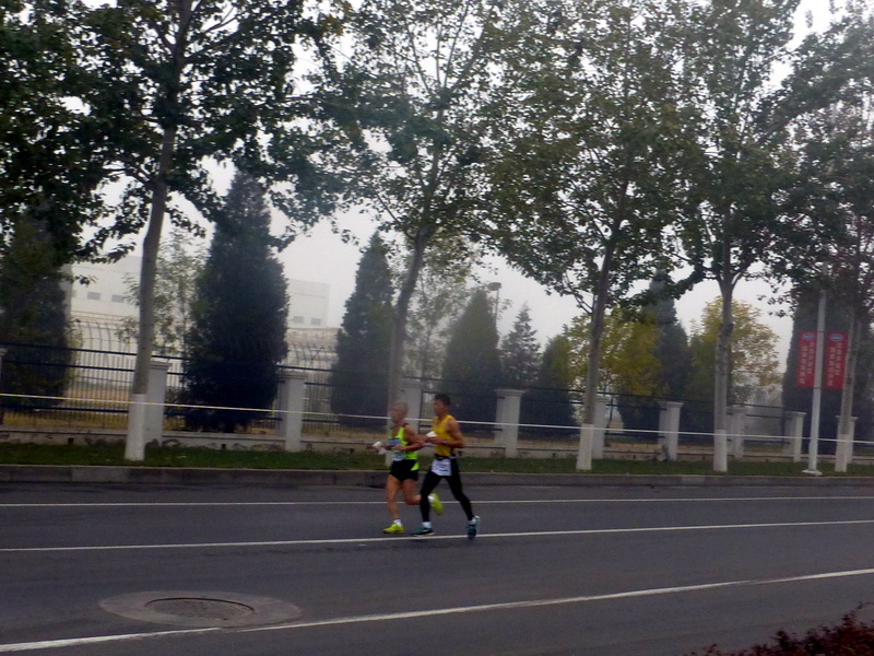 p1270571.jpg