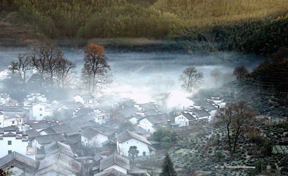 dsc09959_副本.jpg