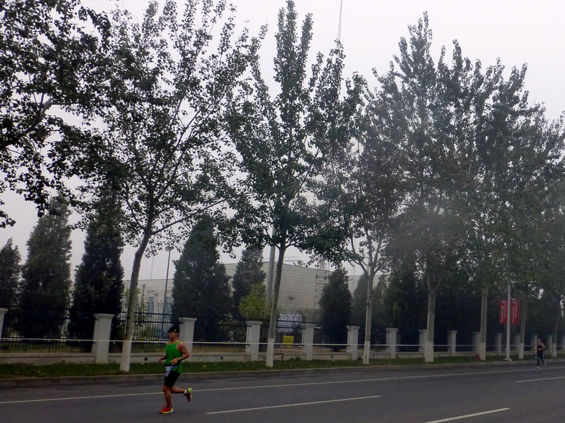 p1270573.jpg