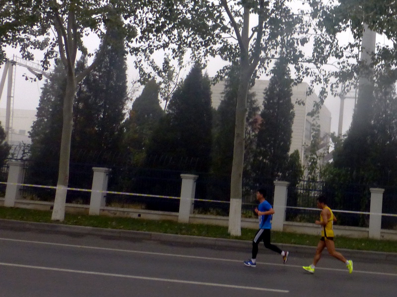 p1270575.jpg
