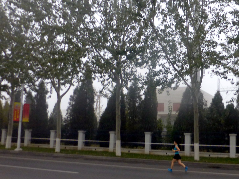 p1270576.jpg
