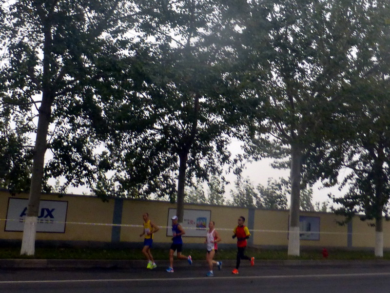 p1270578.jpg