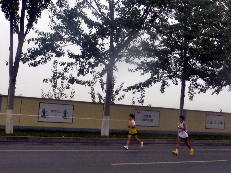 p1270581.jpg