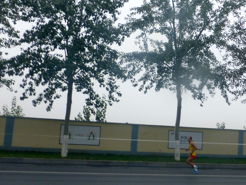 p1270583.jpg