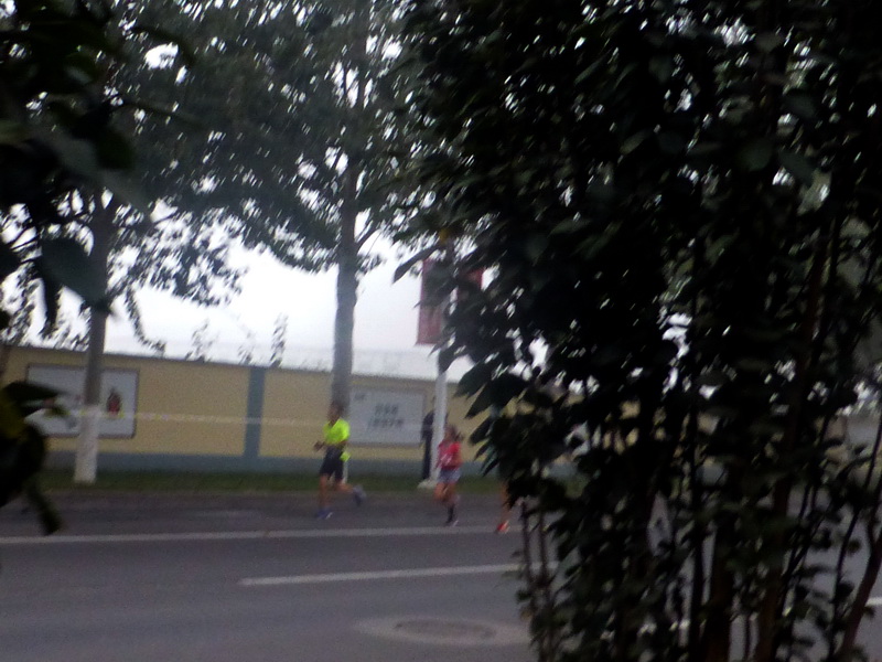 p1270584.jpg