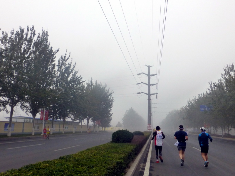 p1270586.jpg