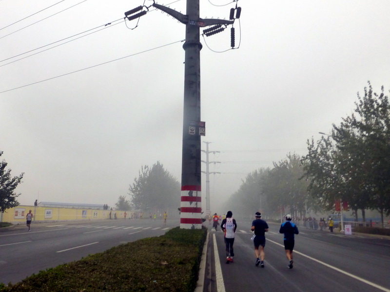 p1270587.jpg