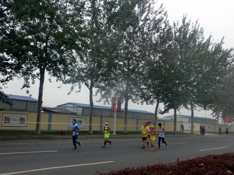 p1270590.jpg
