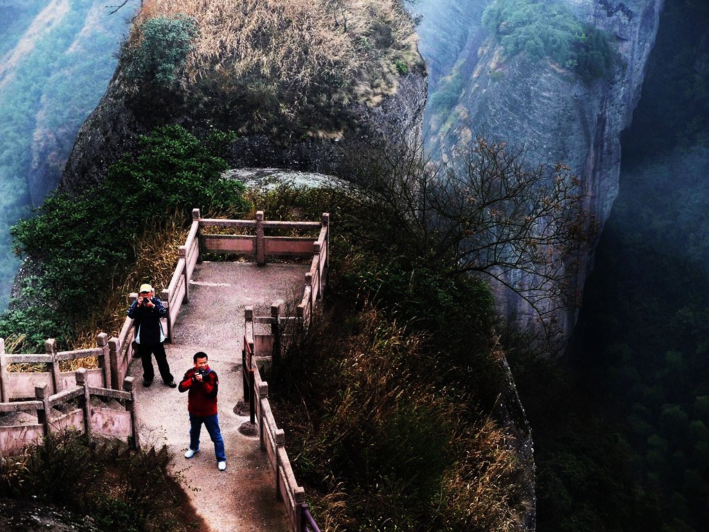 dscf3178.jpg