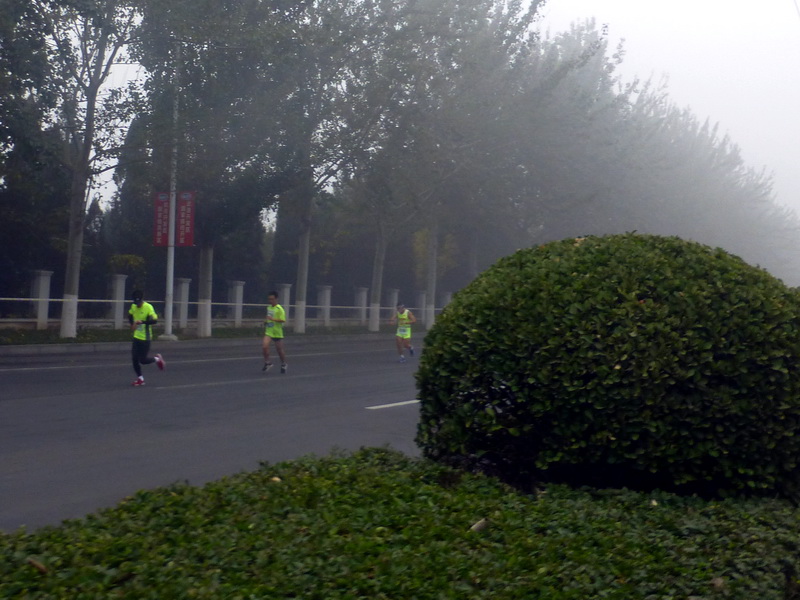 p1270558.jpg