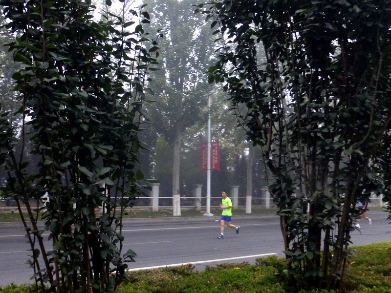 p1270559.jpg