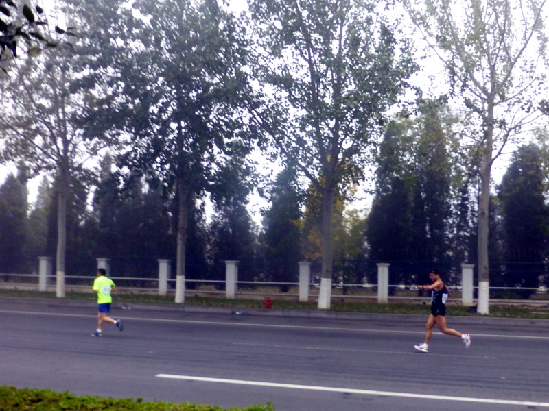 p1270560.jpg