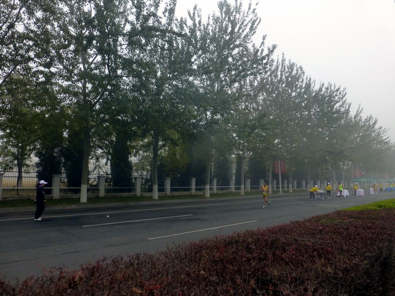 p1270562.jpg