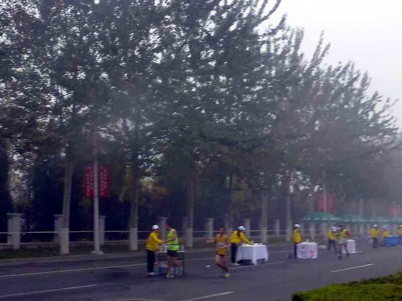 p1270563.jpg