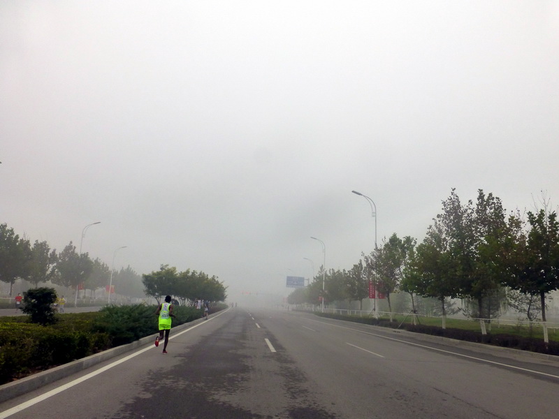 p1270595.jpg