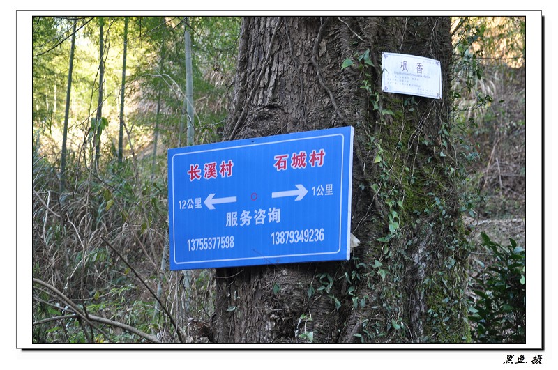 石城.长溪 (102).jpg