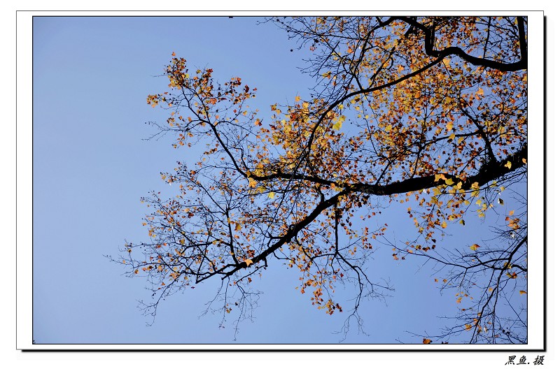 石城.长溪 (105).jpg