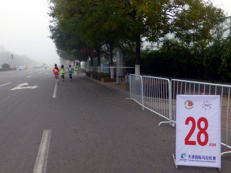 p1270610.jpg