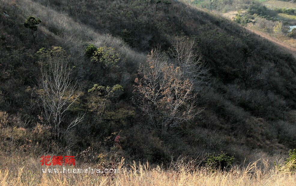 qqͼƬ20141208203735.jpg