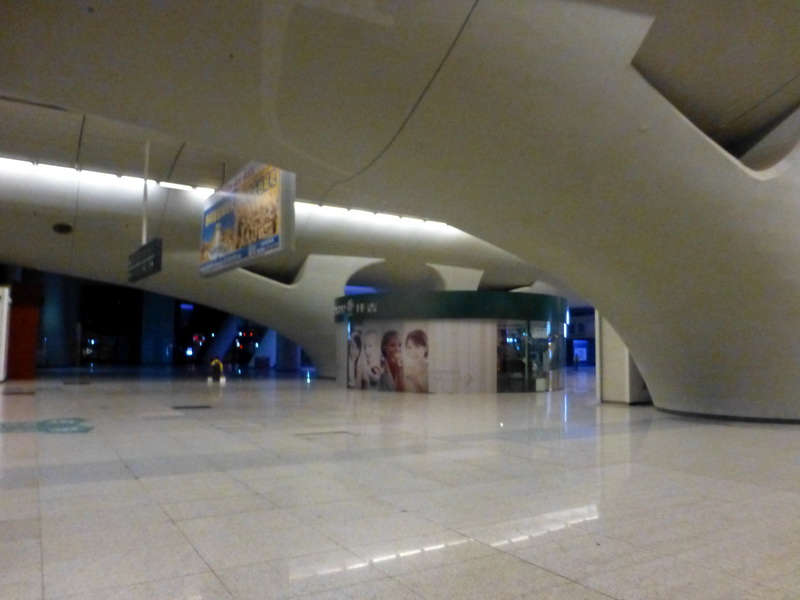 p1270681.jpg