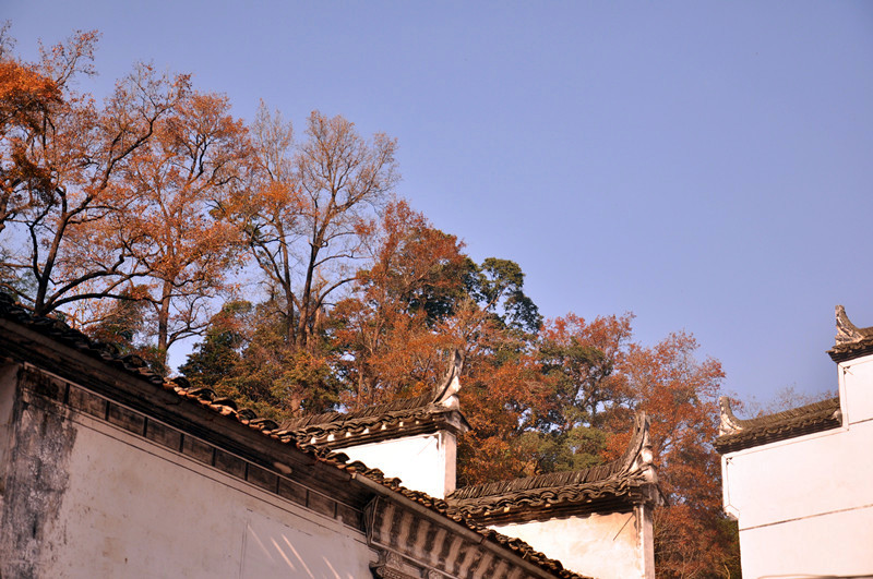 照片 377.jpg