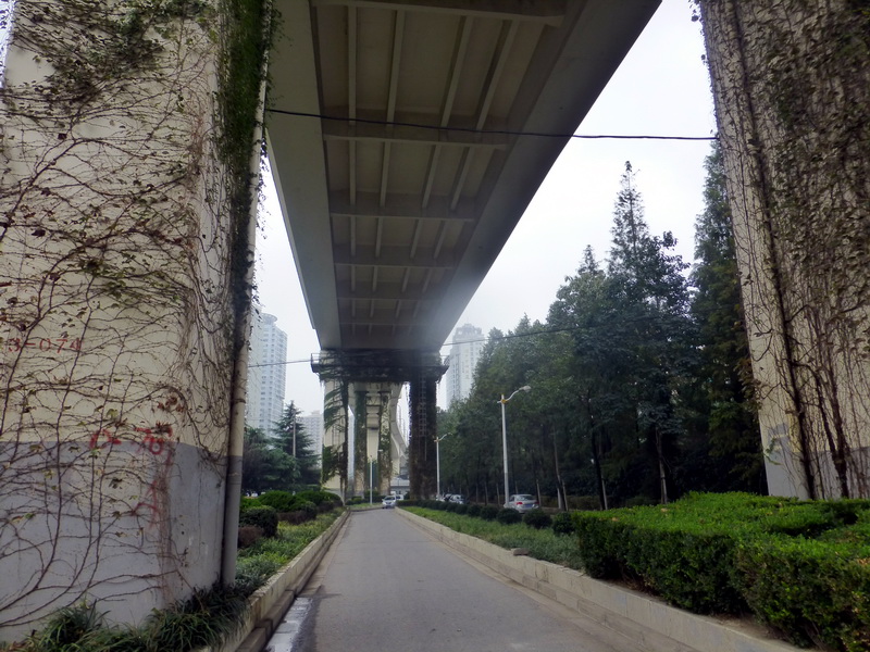 p1270754.jpg