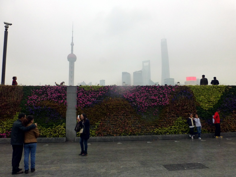 p1270765.jpg
