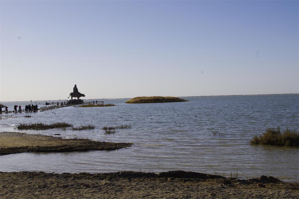 _igp3190.jpg