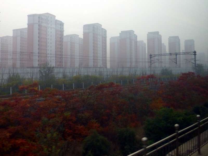 p1270353.jpg