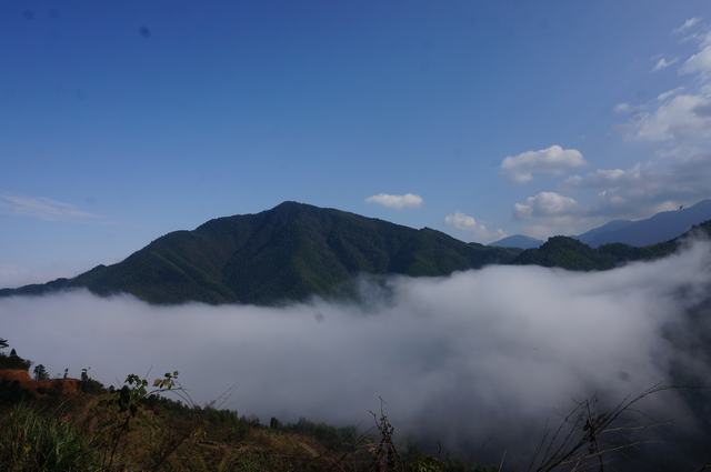 dsc08427.jpg