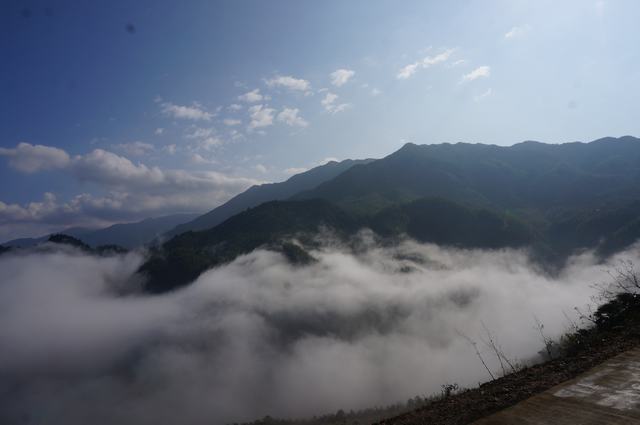 dsc08421.jpg