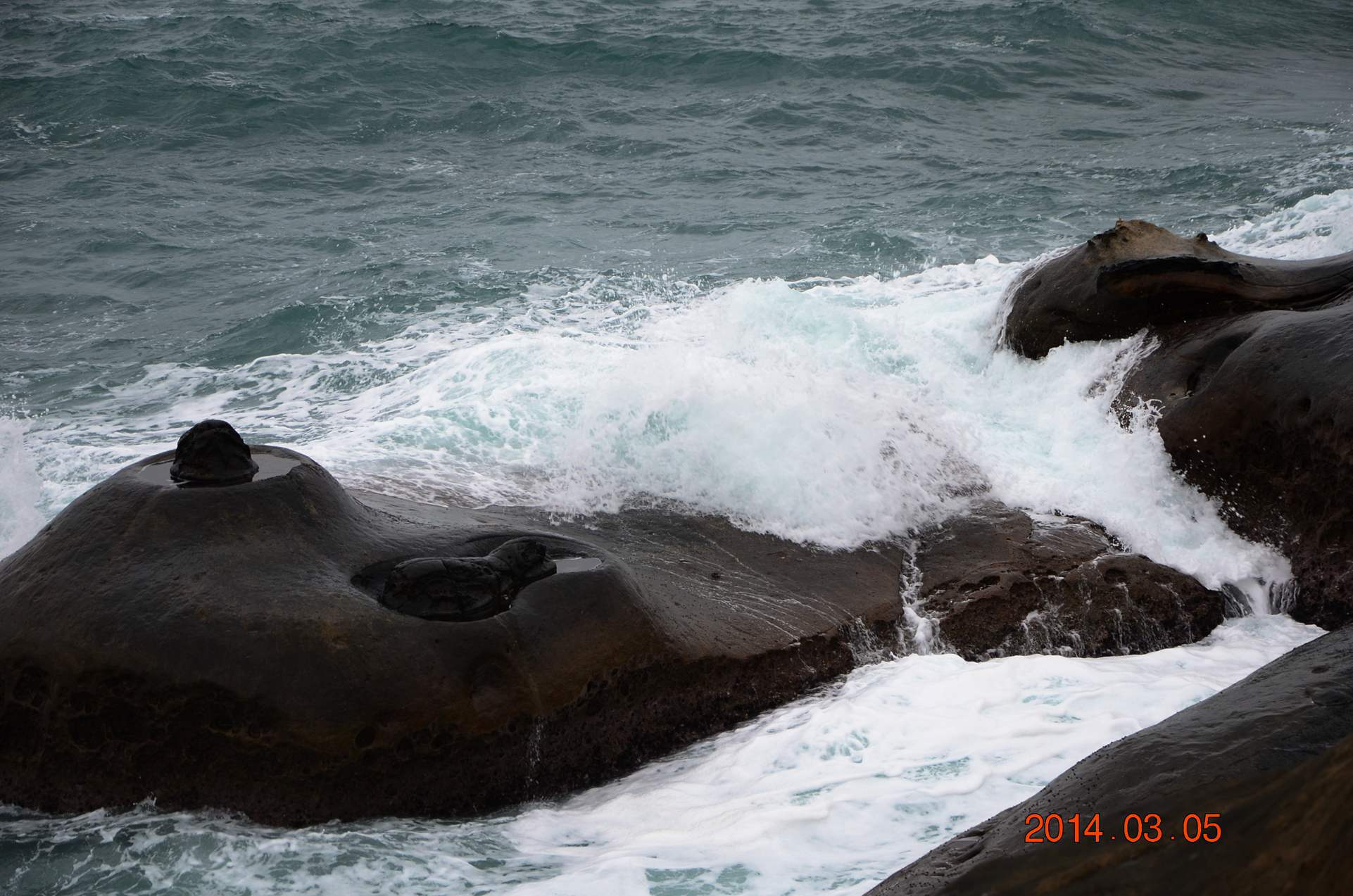dsc_2536.jpg