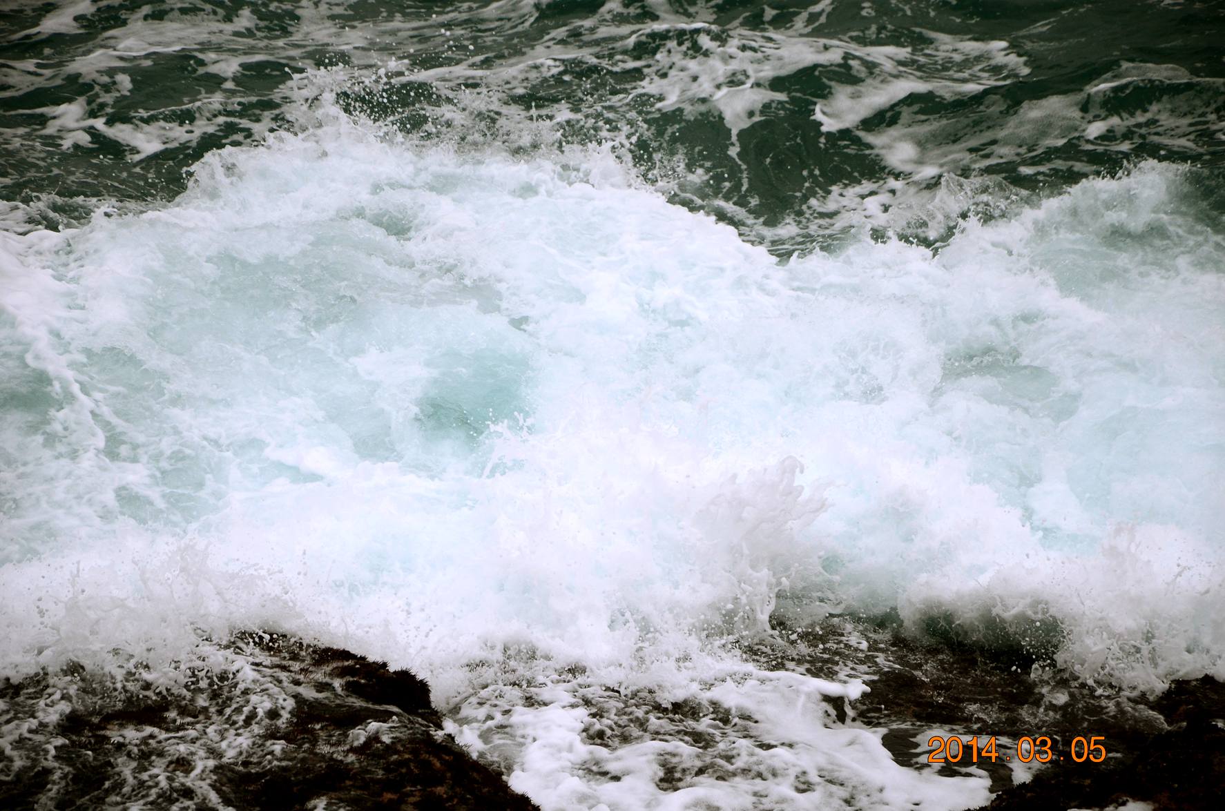 dsc_2586.jpg