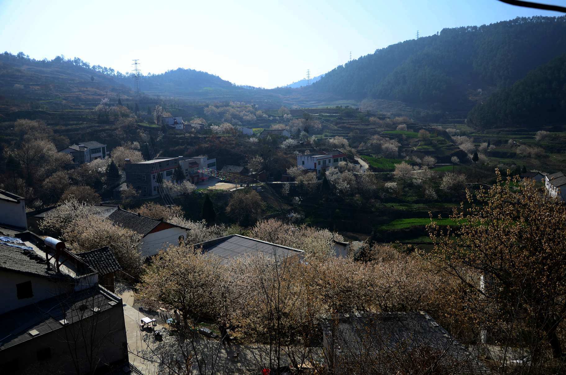 dsc_4277_副本.jpg