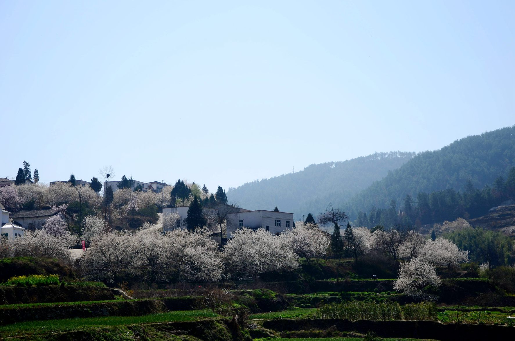 dsc_4355_副本.jpg