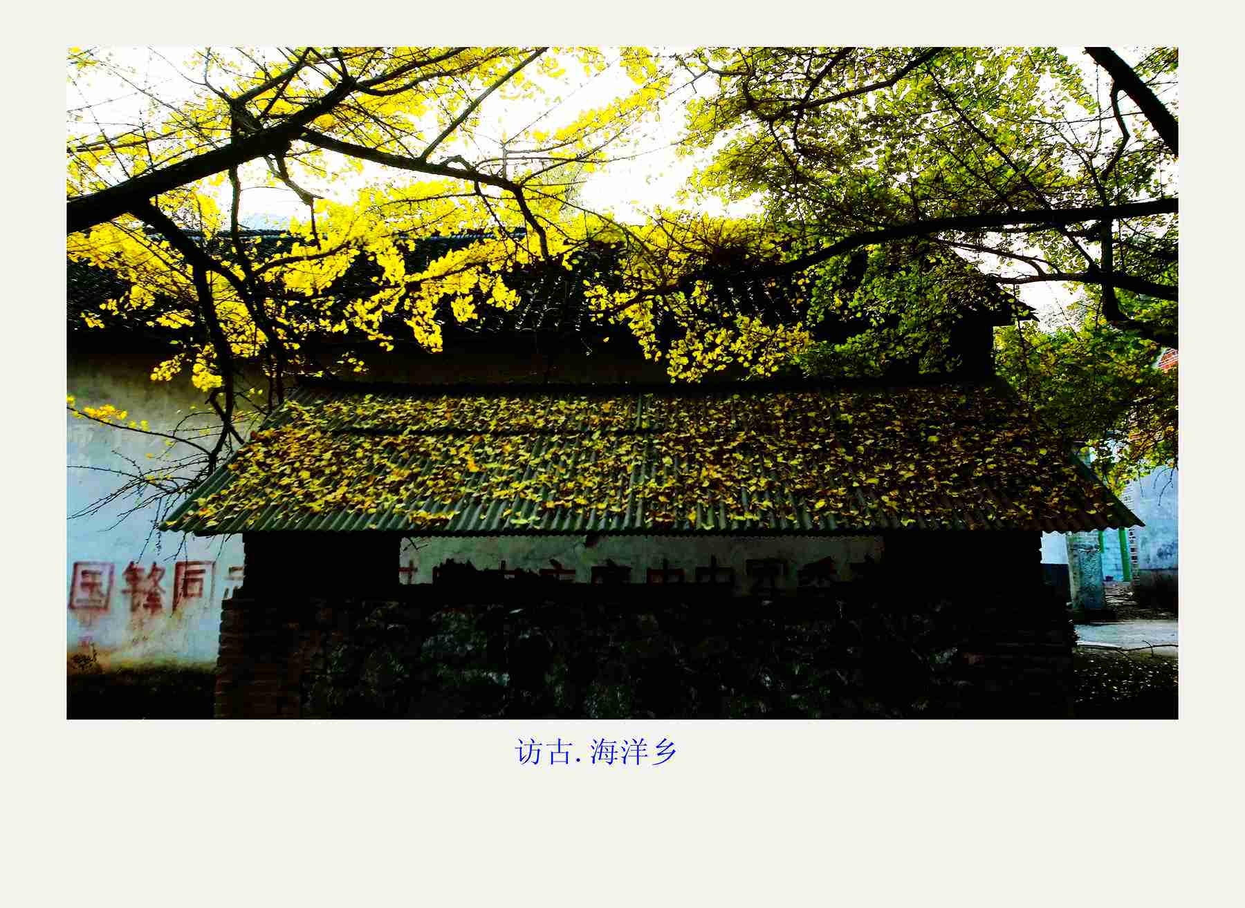 bw3p0272_副本.jpg