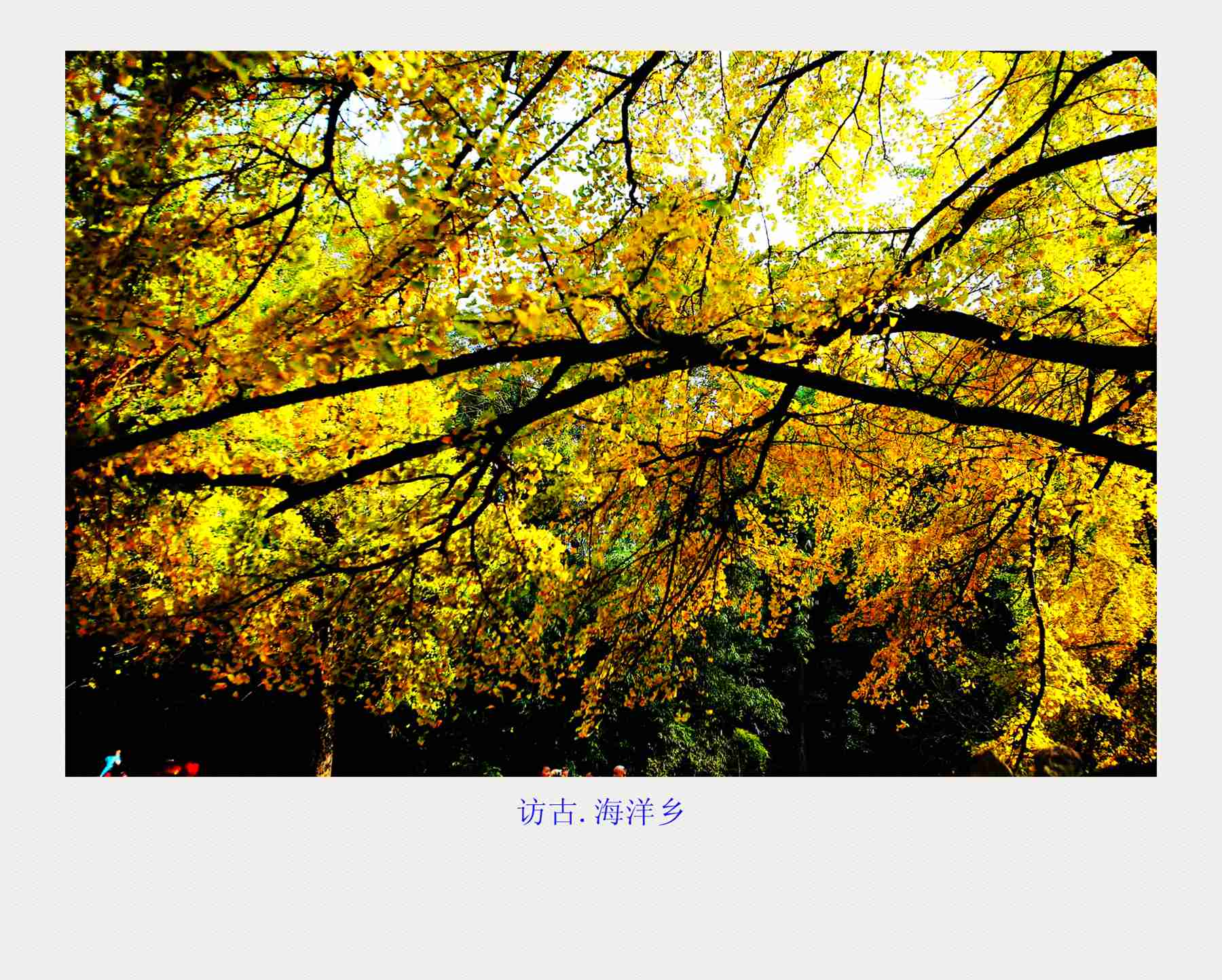 bw3p0243_副本.jpg