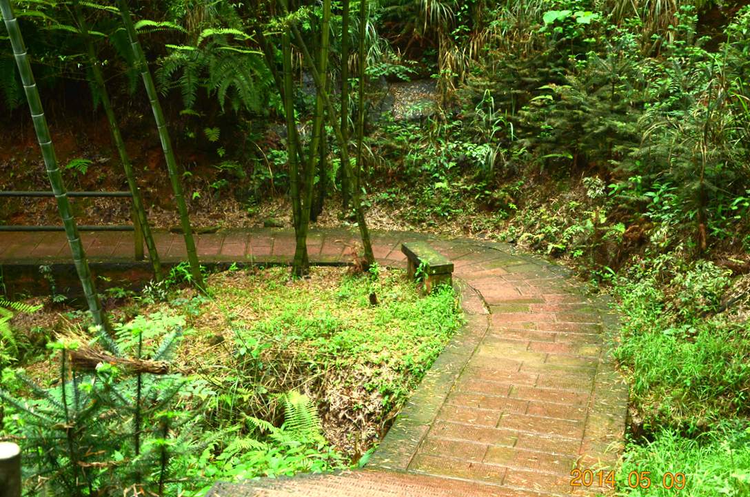 dsc_0134.jpg