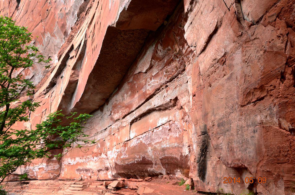 dsc_0103.jpg