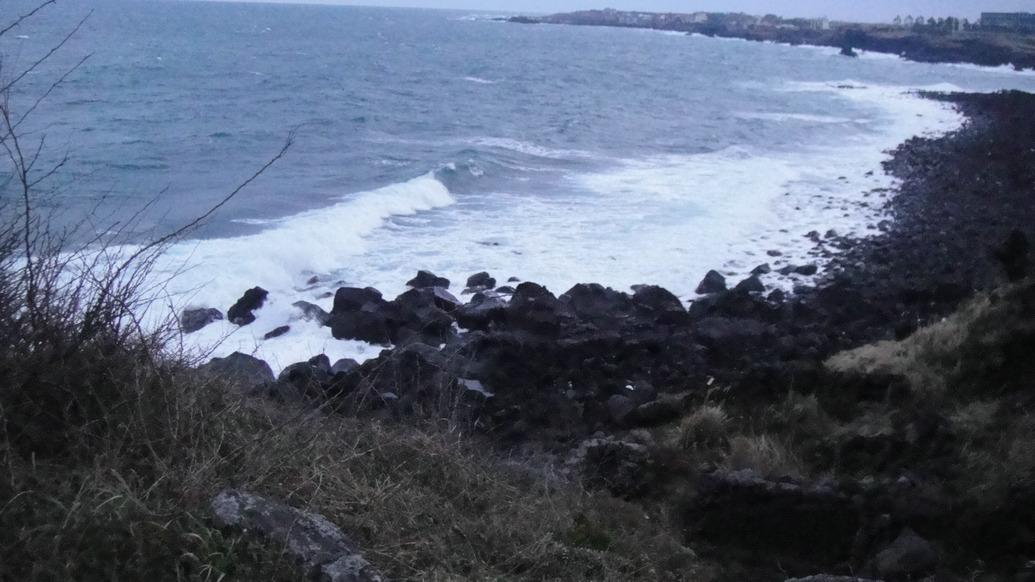 dsc00889.jpg