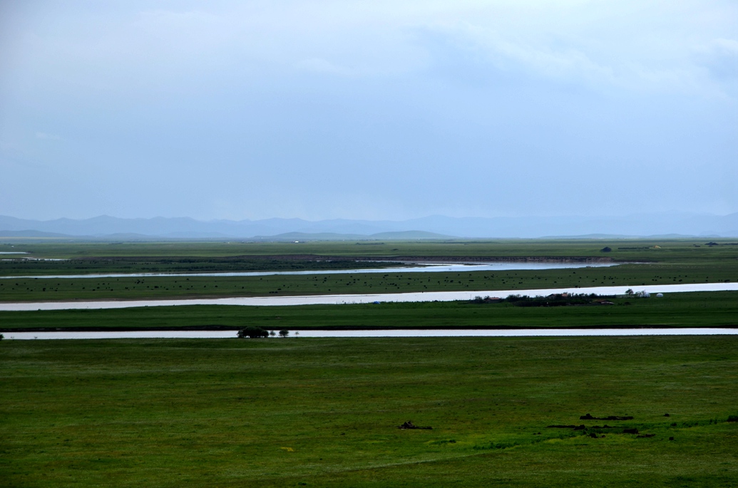 dsc_2309.jpg