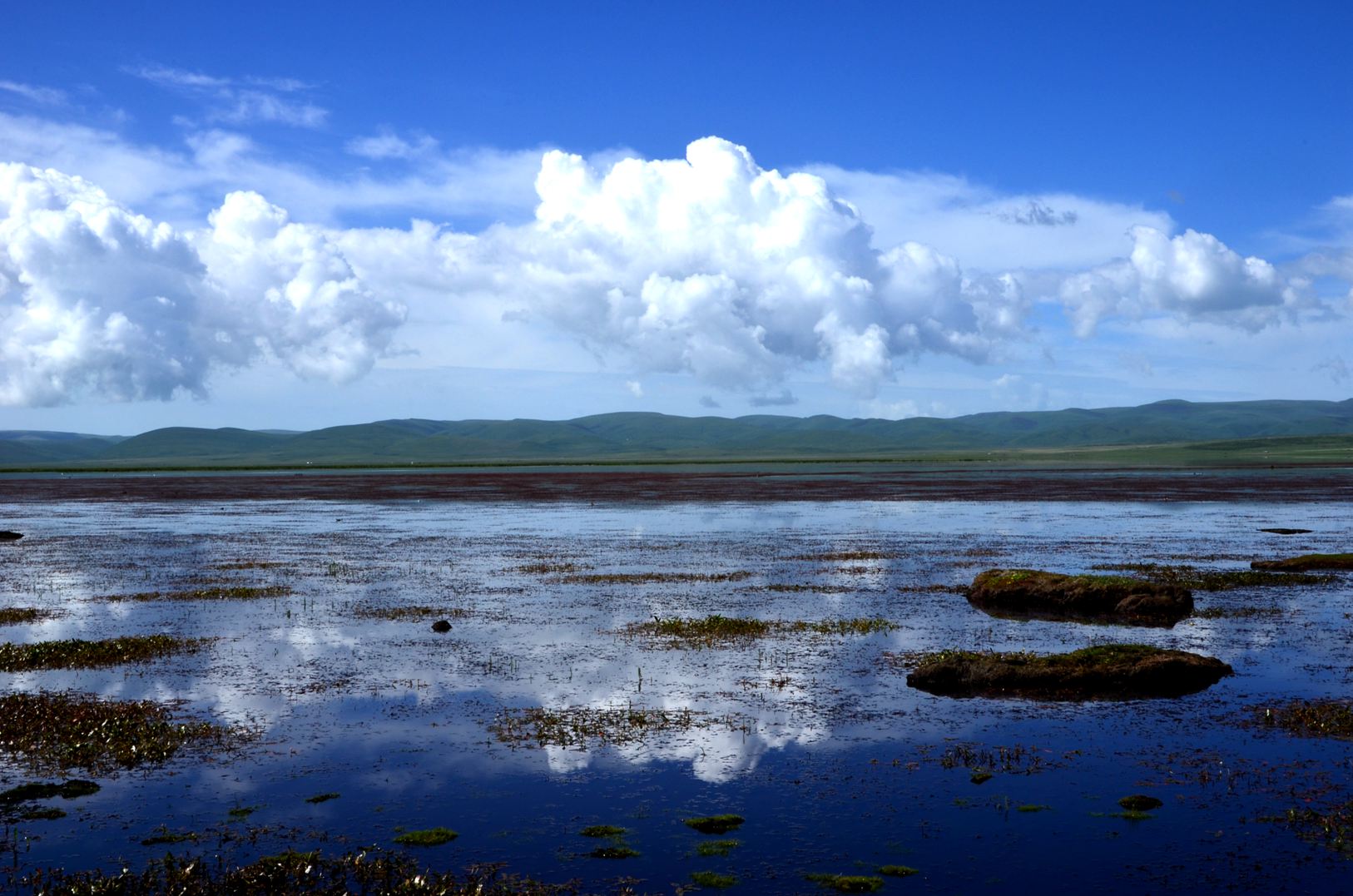 dsc_2258.jpg