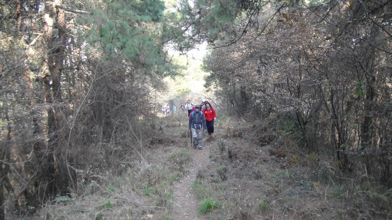 dsc01276.jpg