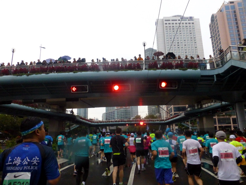 p1270885.jpg