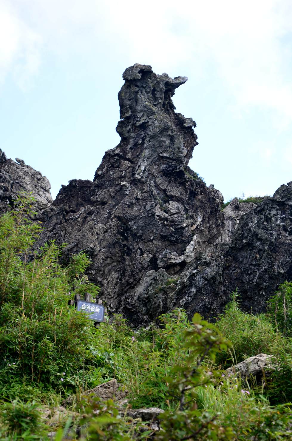 dsc_4236.jpg
