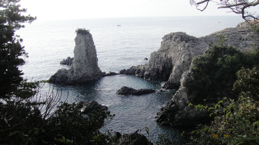 dsc00662.jpg