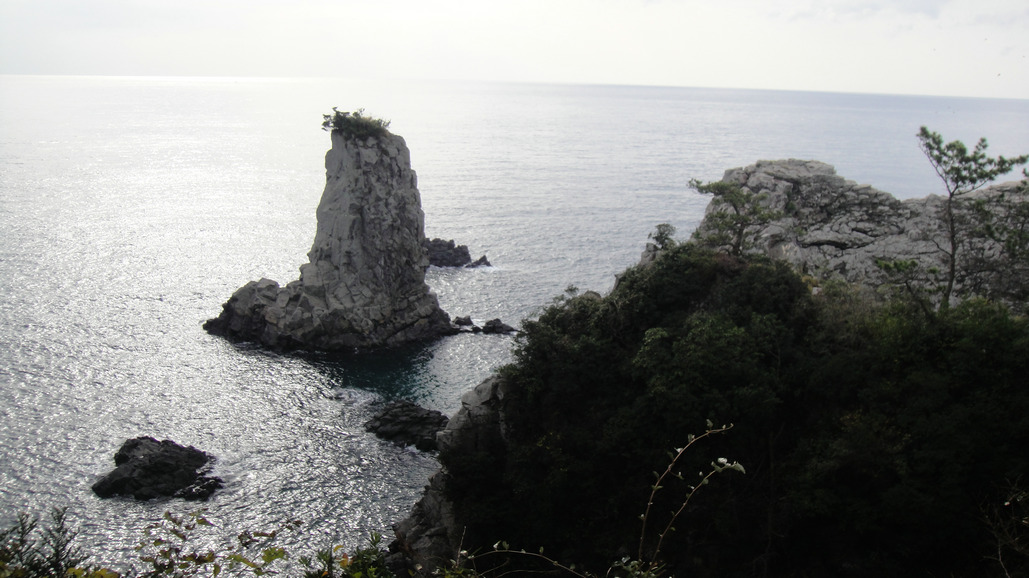 dsc00683.jpg