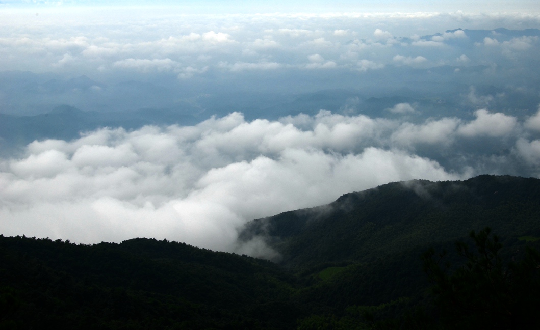 dsc_5589.jpg