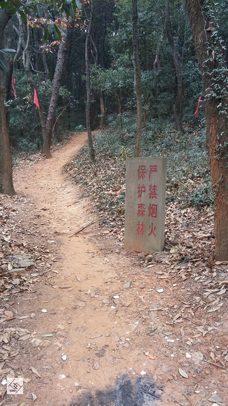 20141227_113635.jpg
