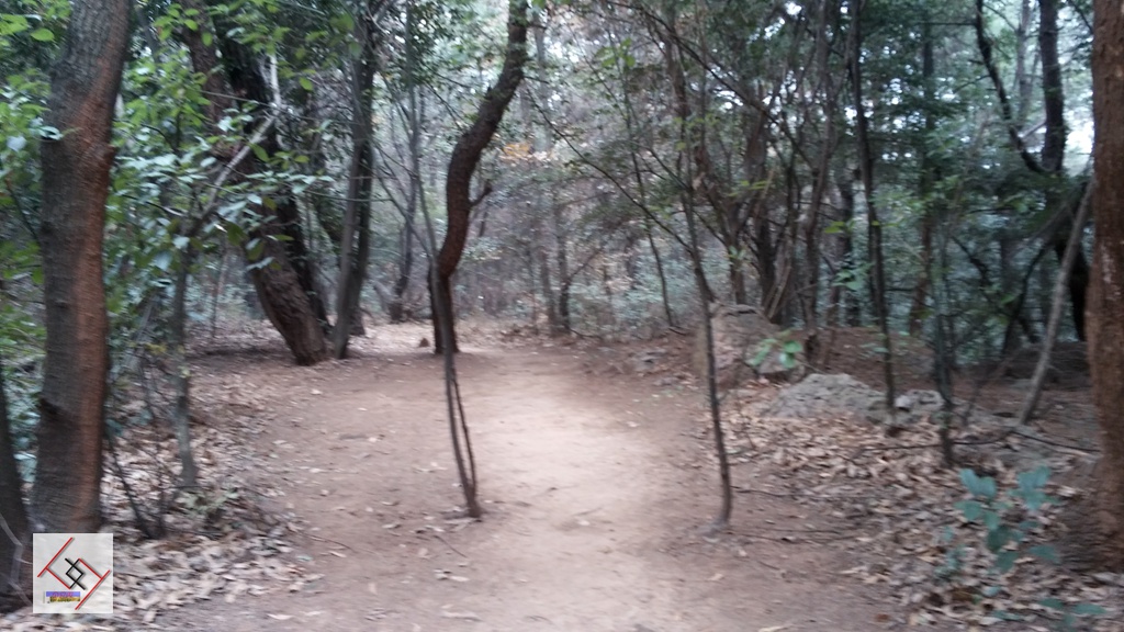 20141227_114116.jpg